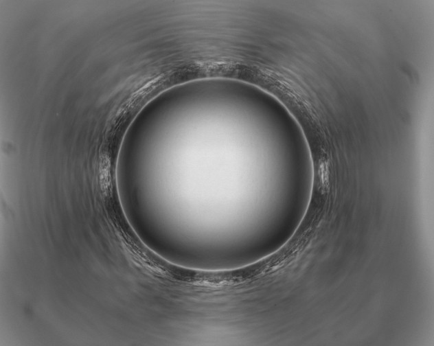 X0000090920963200708061540