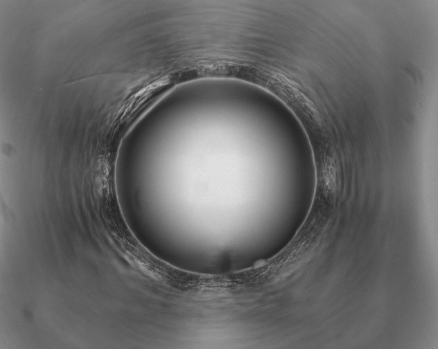 X0000090920964200708061540