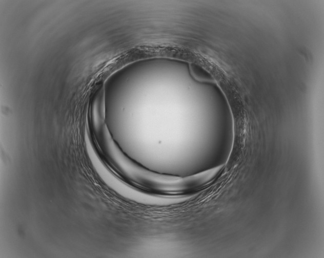 X0000090920965200708061540