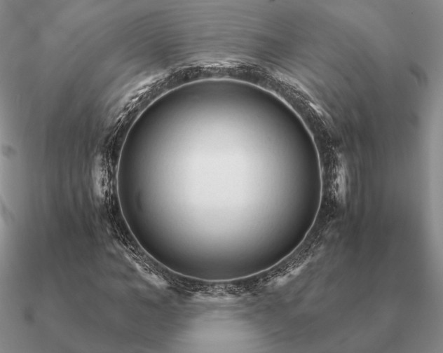 X0000090920966200708061540