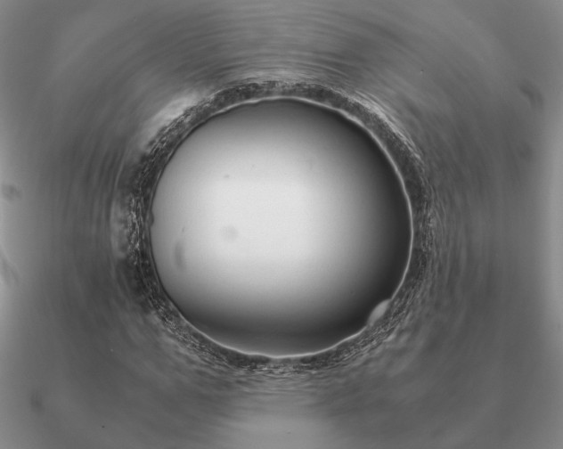 X0000090920967200708061540