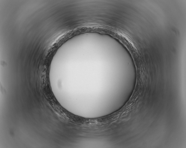 X0000090920968200708061540