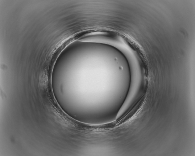 X0000090920969200708061540