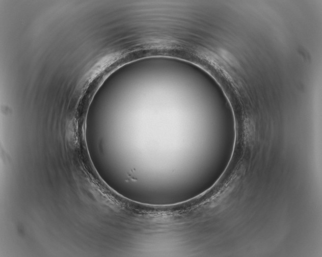 X0000090920970200708061540