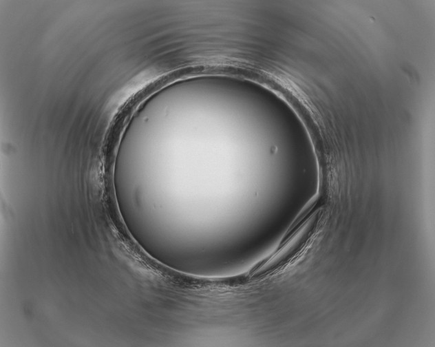 X0000090920971200708061540