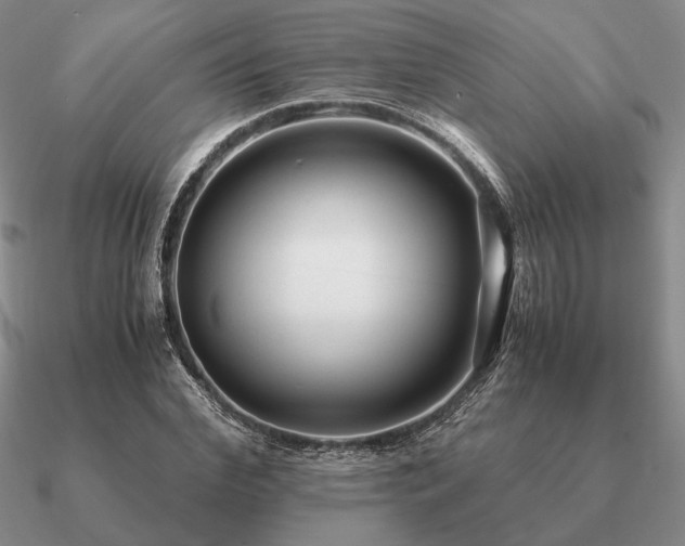 X0000090920972200708061540