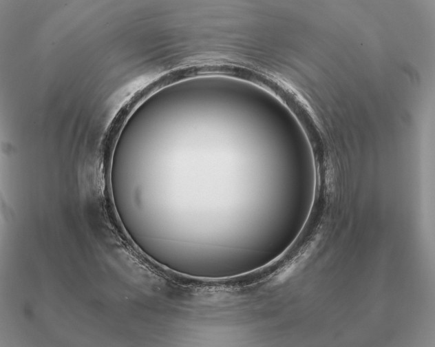 X0000090920973200708061540