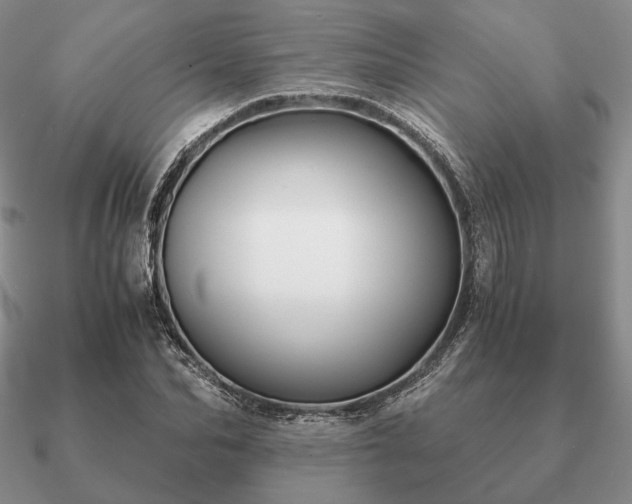 X0000090920974200708061540