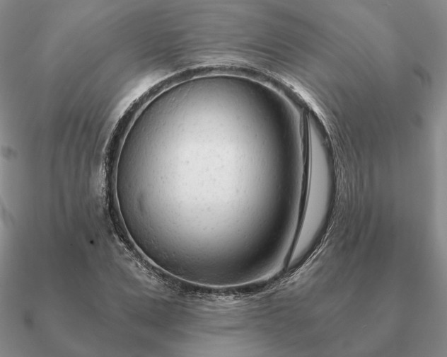 X0000090920975200708061540