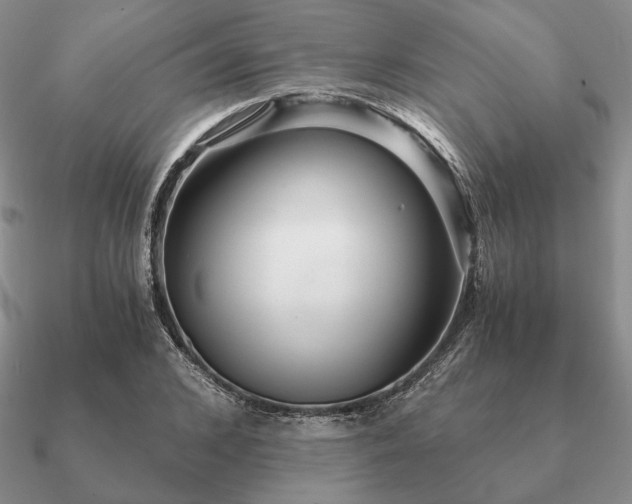 X0000090920976200708061540