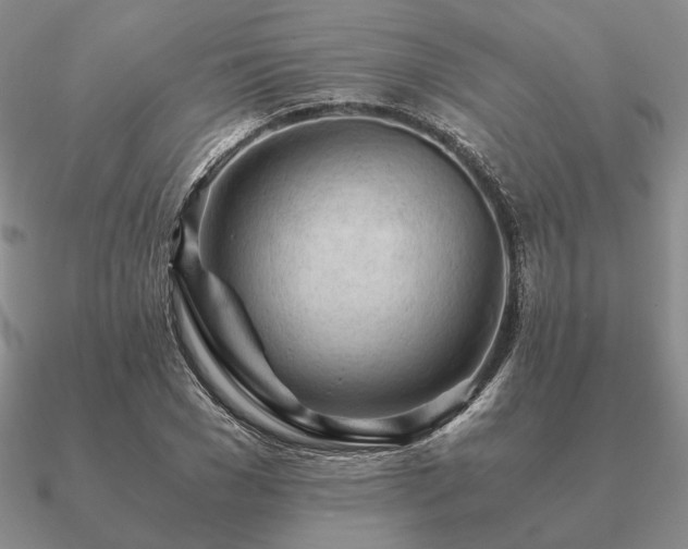 X0000090920977200708061540