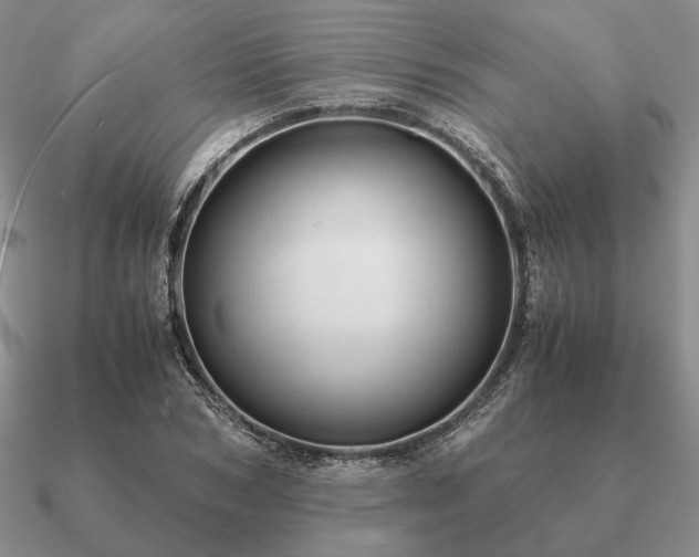 X0000090920978200708061540