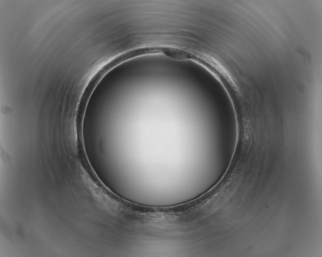 X0000090920980200708061539