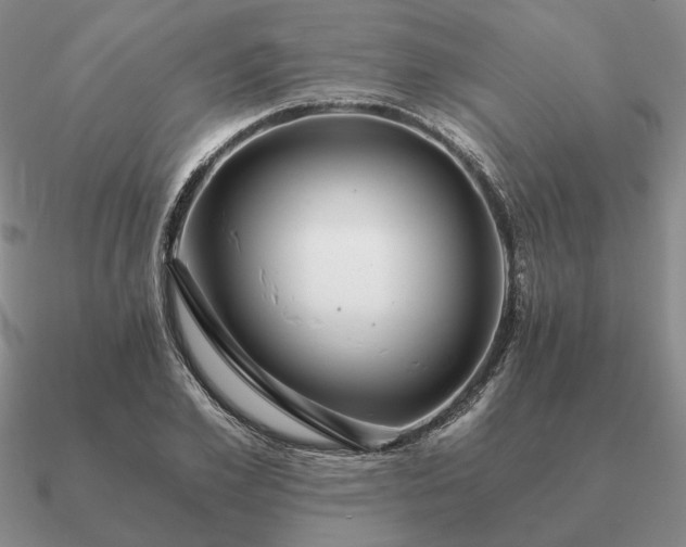 X0000090920981200708061539