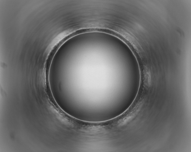 X0000090920982200708061539