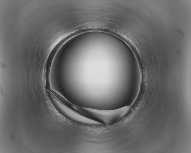 X0000090920983200708061539