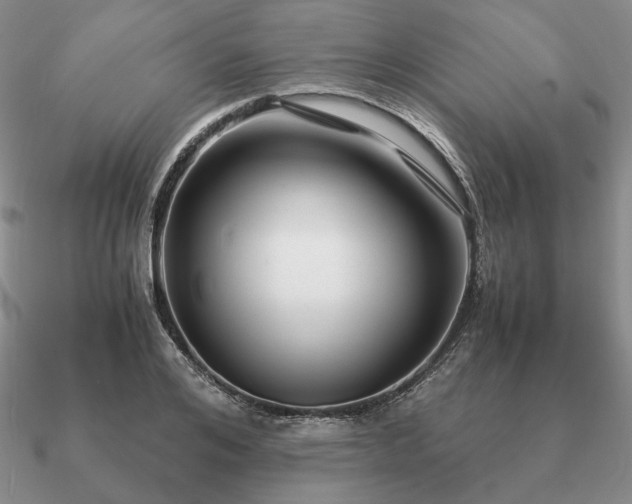 X0000090920984200708061539