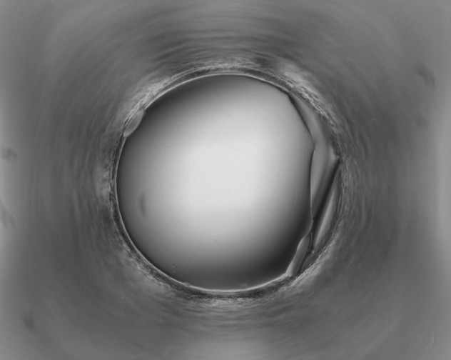 X0000090920985200708061539