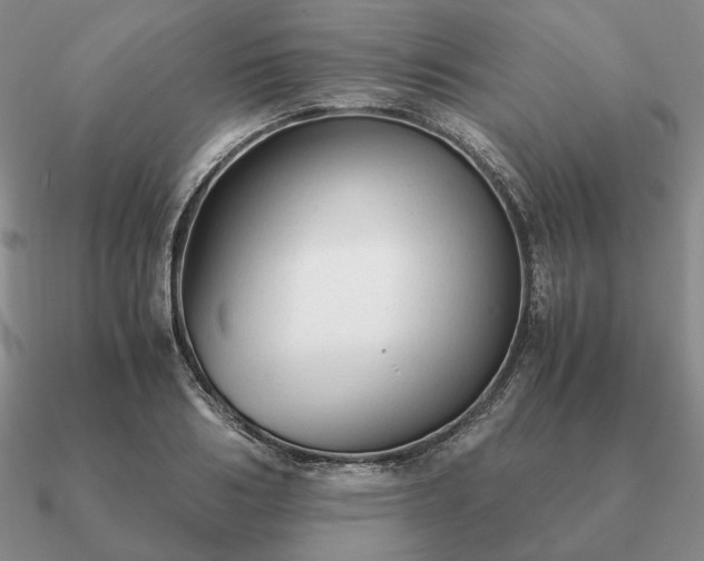 X0000090920986200708061539