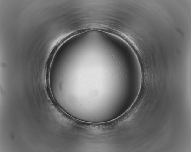 X0000090920987200708061539