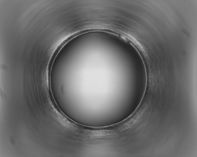 X0000090920988200708061539