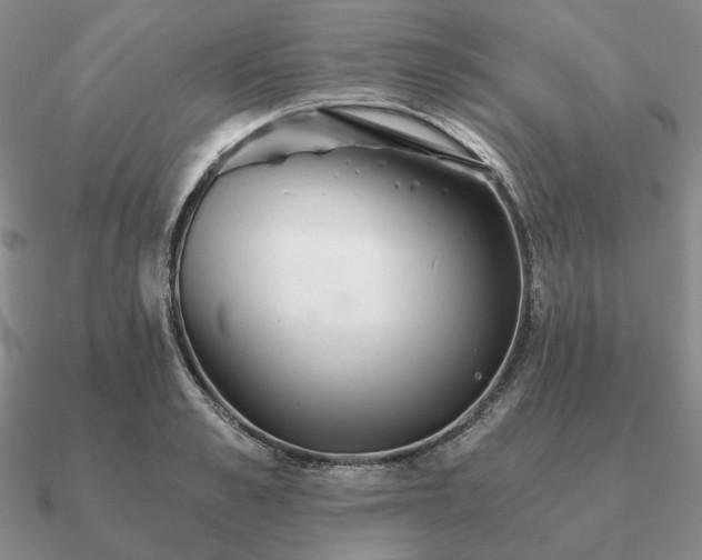 X0000090920989200708061539