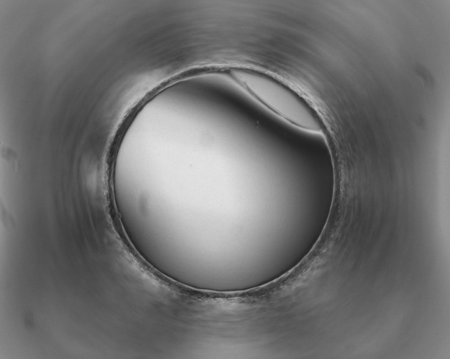 X0000090920990200708061539