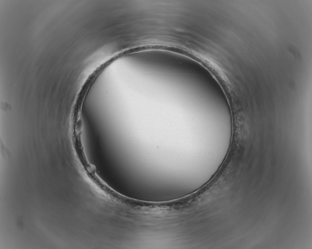 X0000090920991200708061539