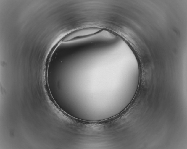 X0000090920992200708061539