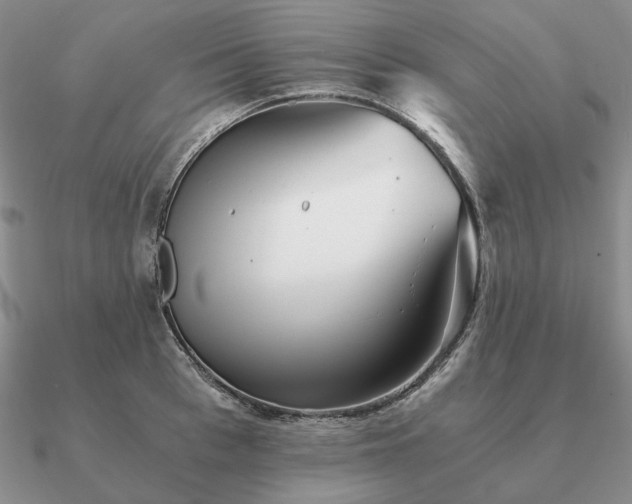 X0000090920993200708061539