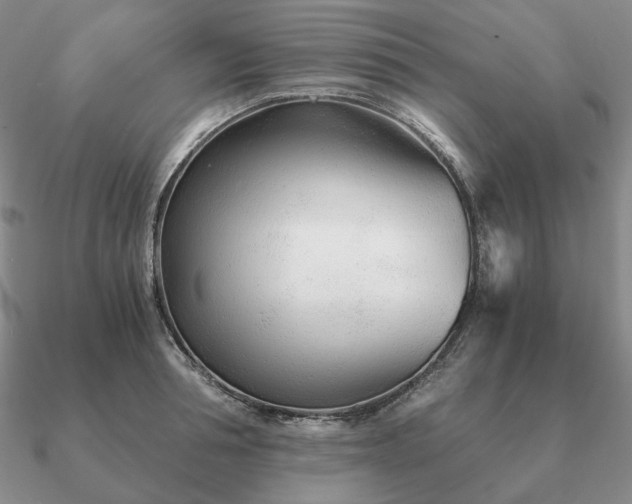 X0000090920994200708061539