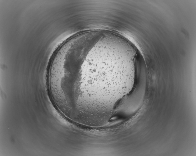 X0000090920995200708061539