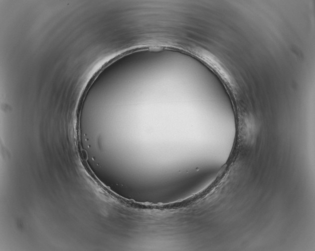 X0000090920996200708061539