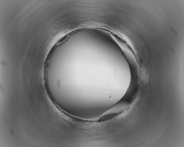 X0000090920997200708061539