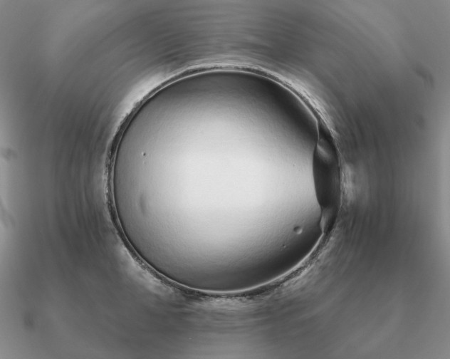 X0000090920998200708061539