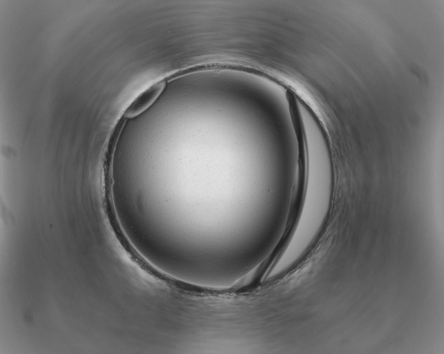 X0000090920999200708061539