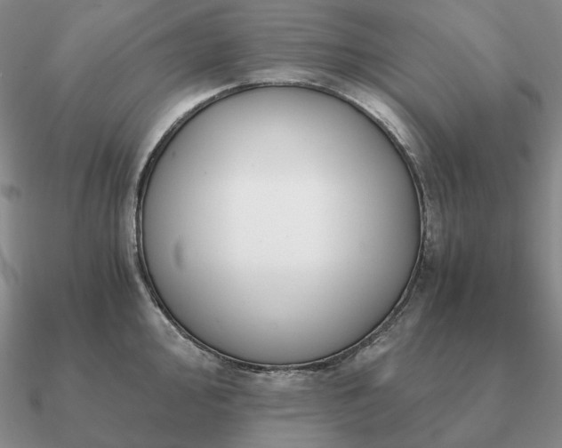 X0000090921000200708061539