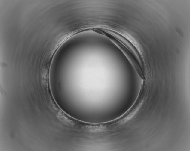 X0000090921001200708061539