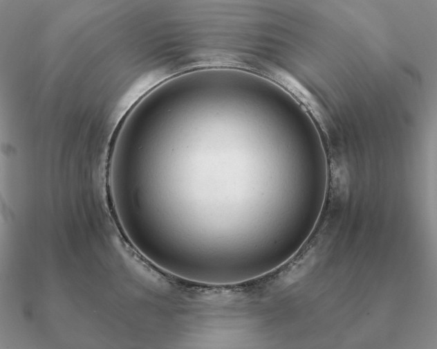 X0000090921002200708061539