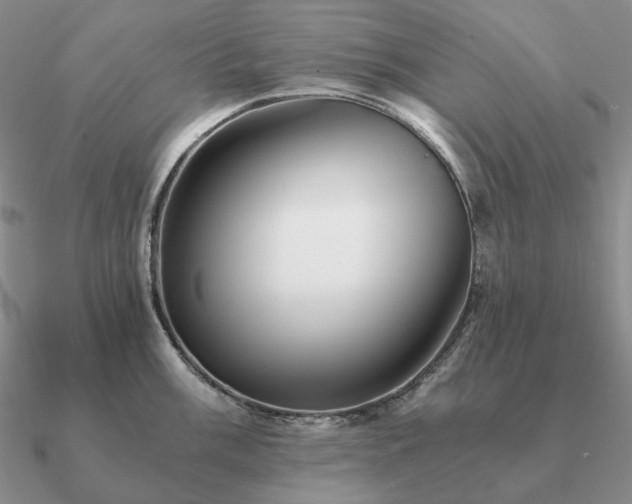 X0000090921003200708061539