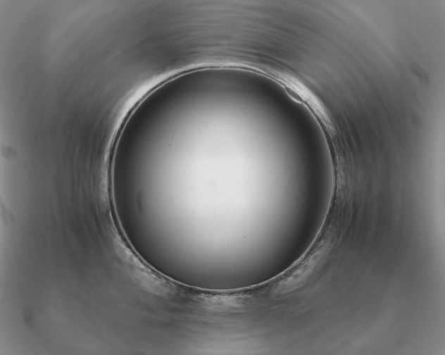 X0000090921004200708061539