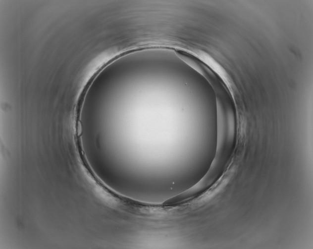 X0000090921005200708061539