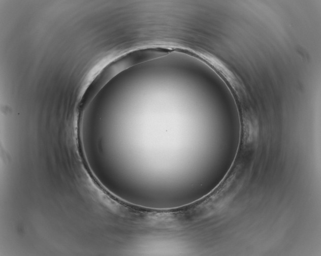 X0000090921006200708061539