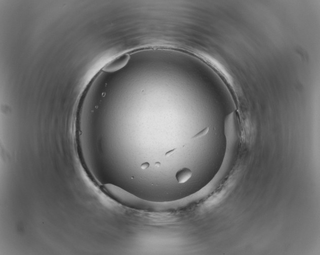 X0000090921007200708061539