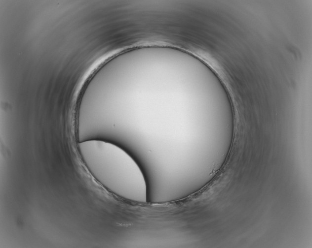 X0000090921008200708061539