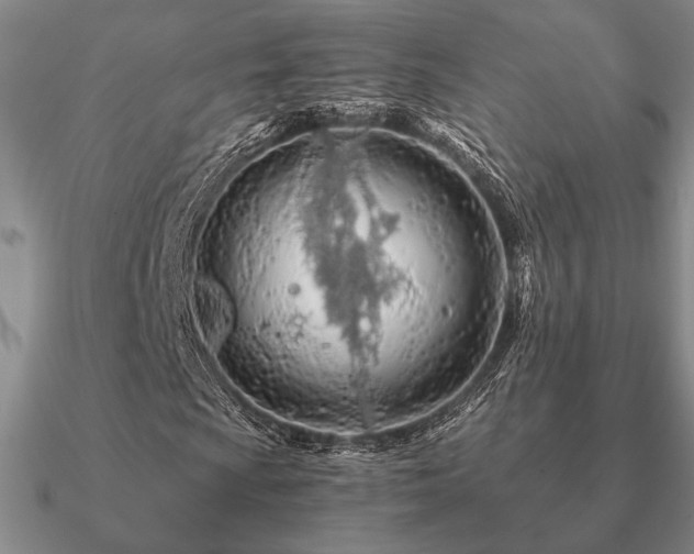 X0000090921009200708061538