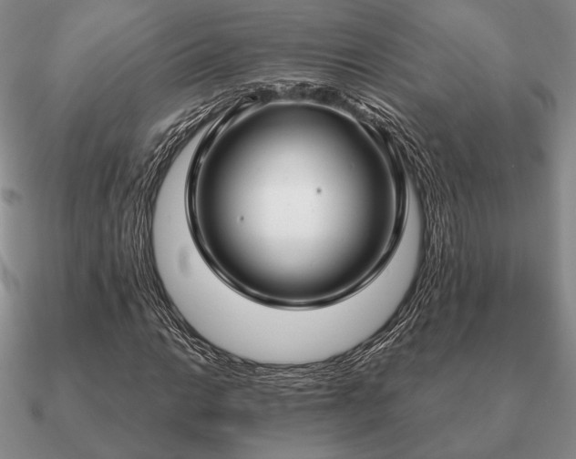 X0000090921014200708061538