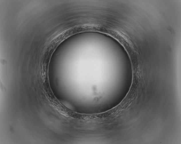 X0000090921015200708061538