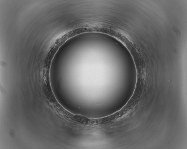 X0000090921016200708061538