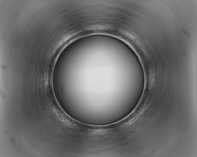 X0000090921017200708061539